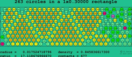263 circles in a rectangle