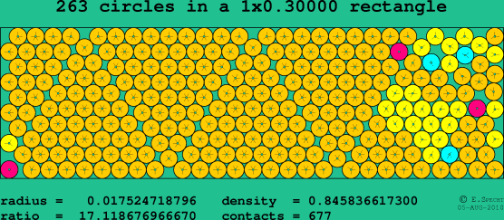 263 circles in a rectangle