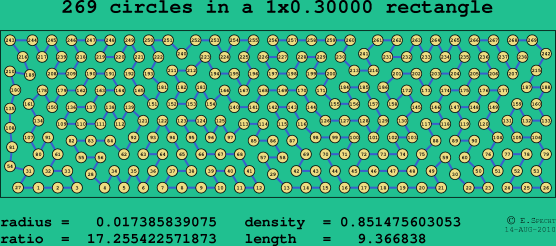 269 circles in a rectangle