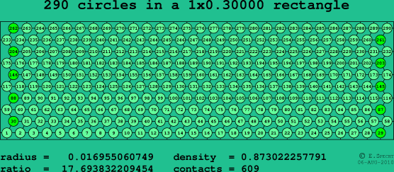 290 circles in a rectangle