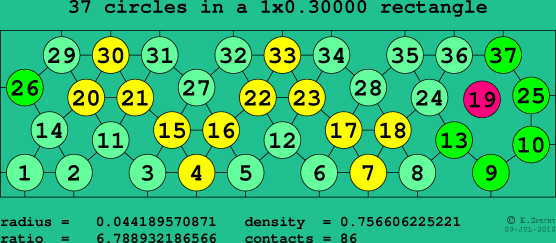 37 circles in a rectangle
