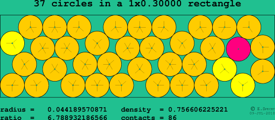37 circles in a rectangle
