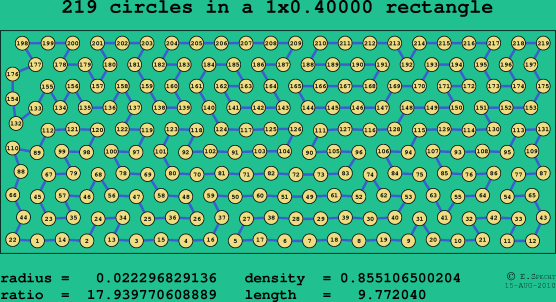 219 circles in a rectangle