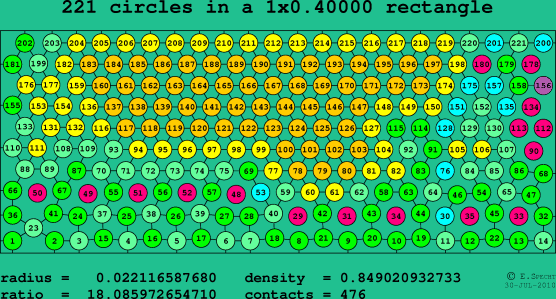 221 circles in a rectangle