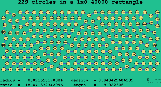 229 circles in a rectangle
