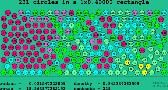 231 circles in a rectangle