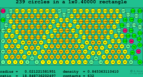 239 circles in a rectangle
