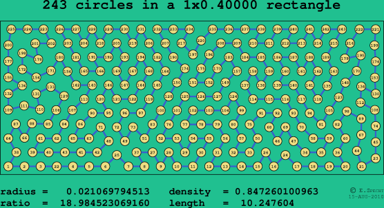 243 circles in a rectangle