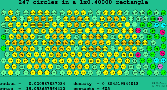 247 circles in a rectangle
