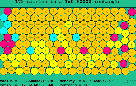 172 circles in a rectangle