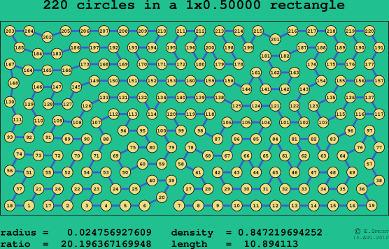 220 circles in a rectangle