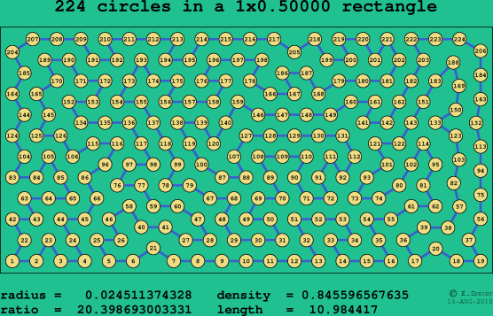 224 circles in a rectangle
