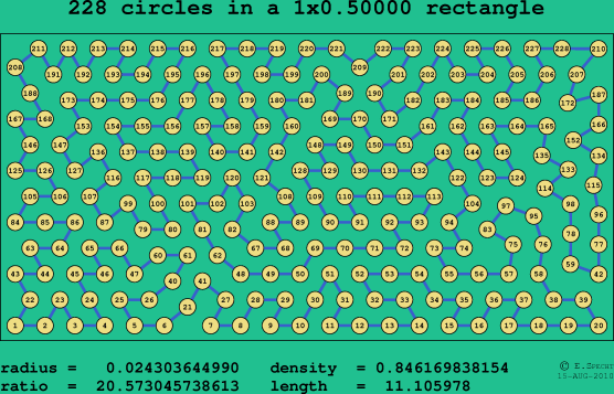 228 circles in a rectangle