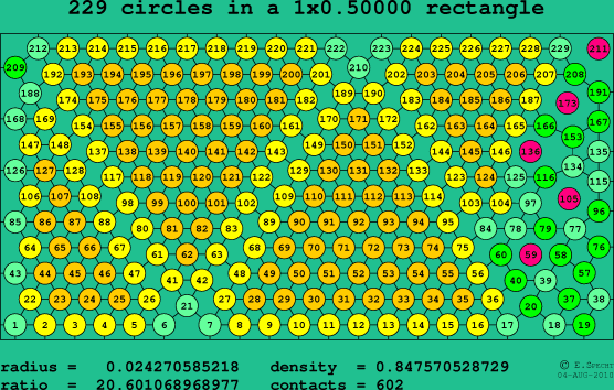 229 circles in a rectangle