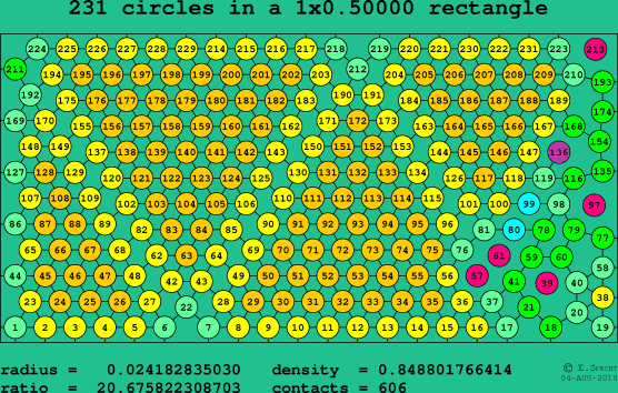 231 circles in a rectangle