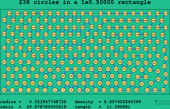 238 circles in a rectangle