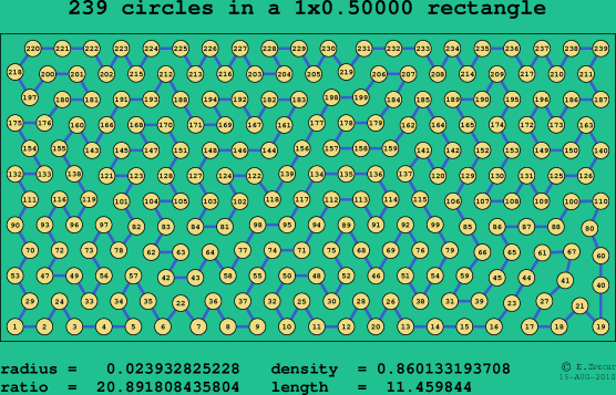 239 circles in a rectangle