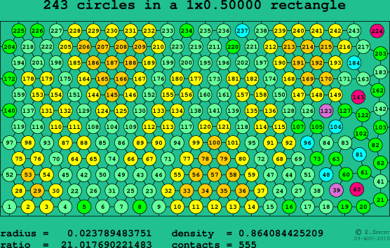 243 circles in a rectangle