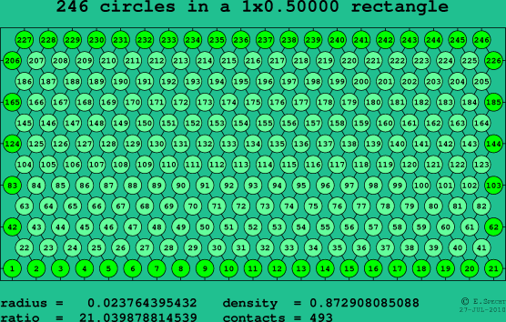 246 circles in a rectangle