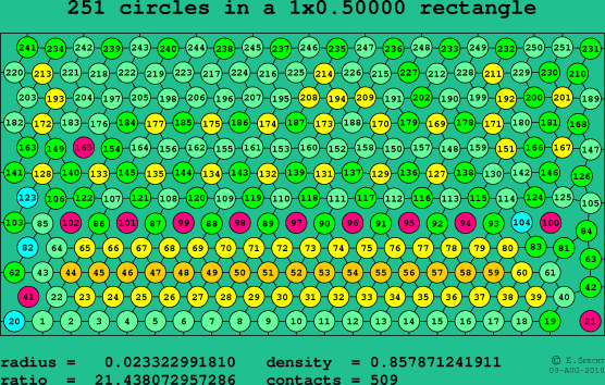 251 circles in a rectangle