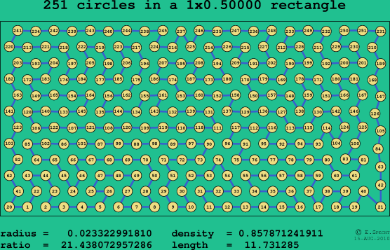 251 circles in a rectangle
