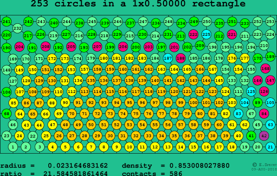 253 circles in a rectangle