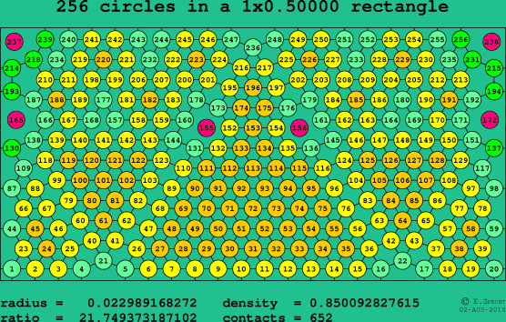 256 circles in a rectangle
