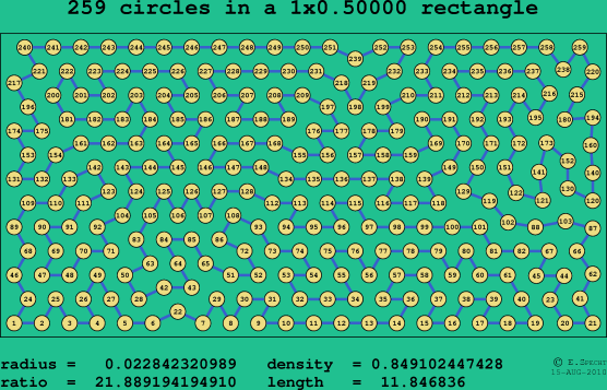 259 circles in a rectangle