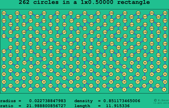 262 circles in a rectangle