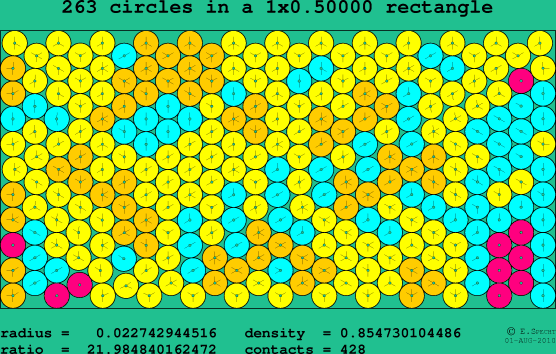 263 circles in a rectangle