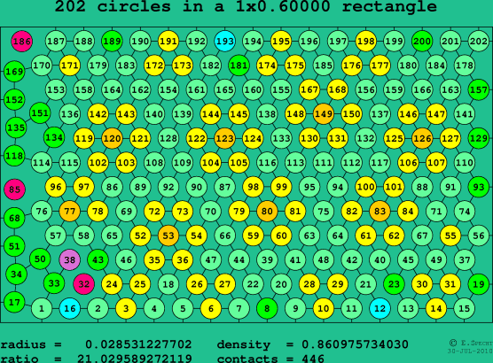 202 circles in a rectangle