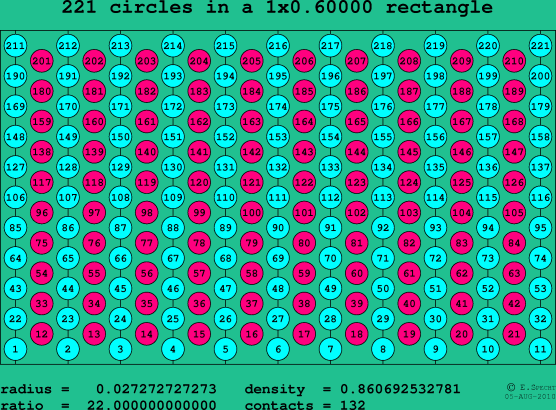 221 circles in a rectangle