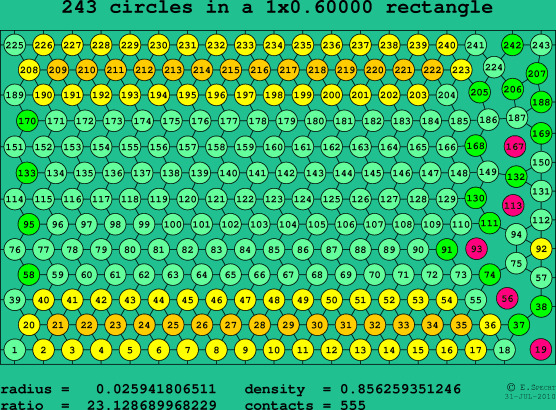 243 circles in a rectangle