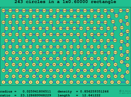 243 circles in a rectangle