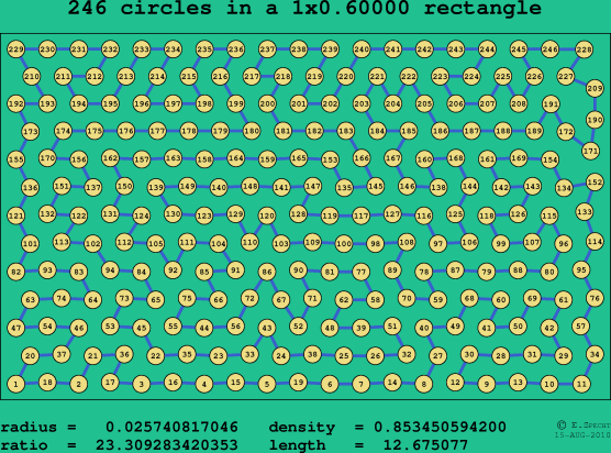 246 circles in a rectangle