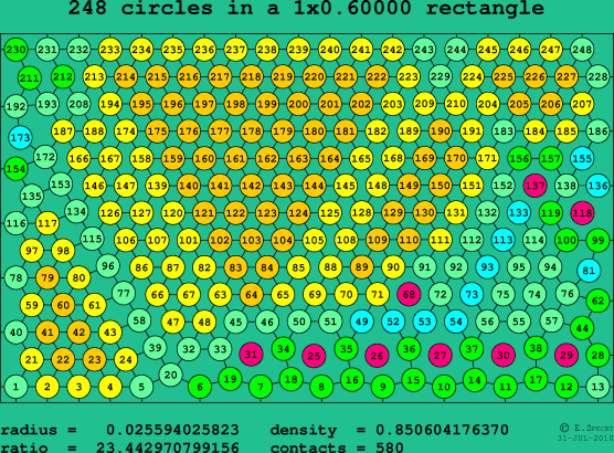 248 circles in a rectangle