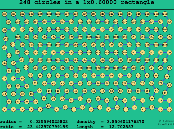 248 circles in a rectangle