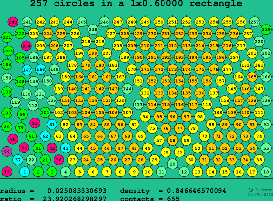 257 circles in a rectangle