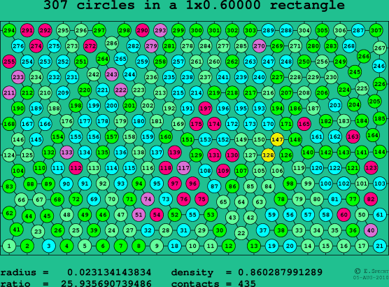 307 circles in a rectangle
