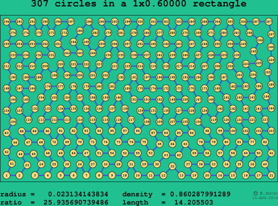 307 circles in a rectangle