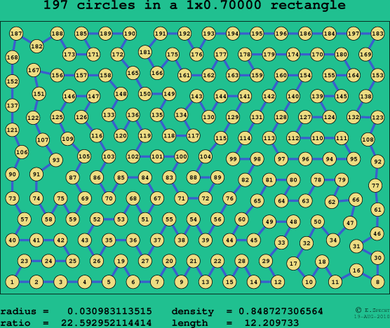 197 circles in a rectangle