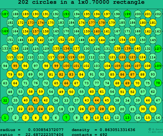 202 circles in a rectangle