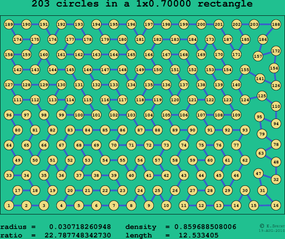 203 circles in a rectangle