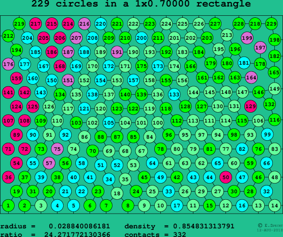 229 circles in a rectangle