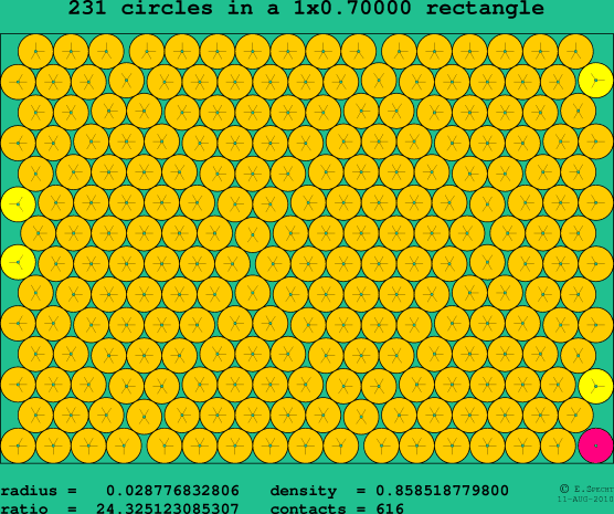 231 circles in a rectangle