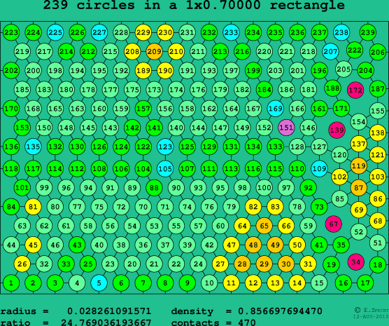 239 circles in a rectangle