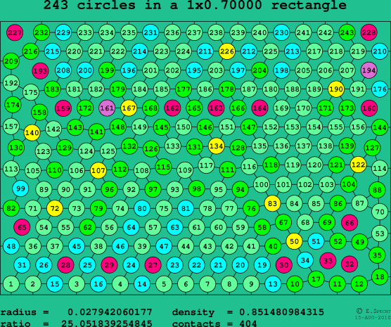 243 circles in a rectangle