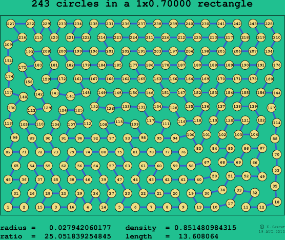 243 circles in a rectangle