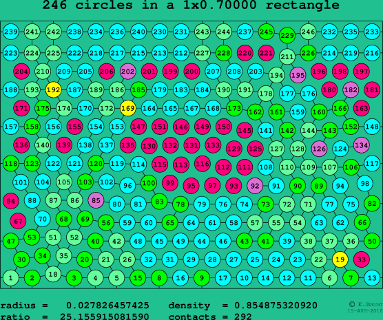 246 circles in a rectangle