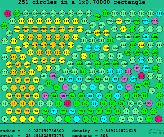 251 circles in a rectangle